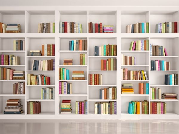 Bookshelf Assembly in Valencia